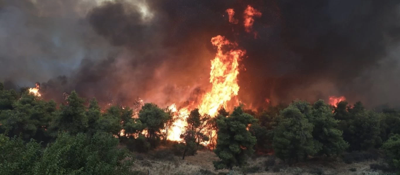 Φωτιά σε δασική έκταση στη Μεσσηνία - Επιχειρούν 43 πυροσβέστες